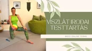 Viszlát irodai testtartás